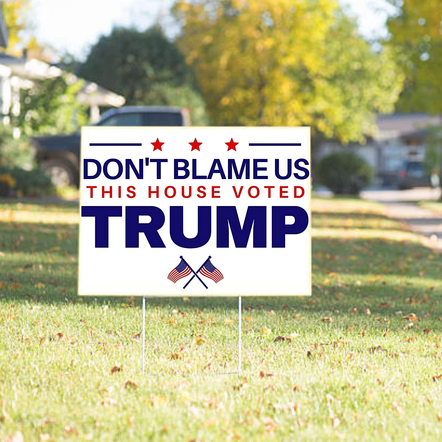 Don't Blame Us This House Voted Trump 18"x12" Double-Sided Yard Sign - LiberTee Shirts